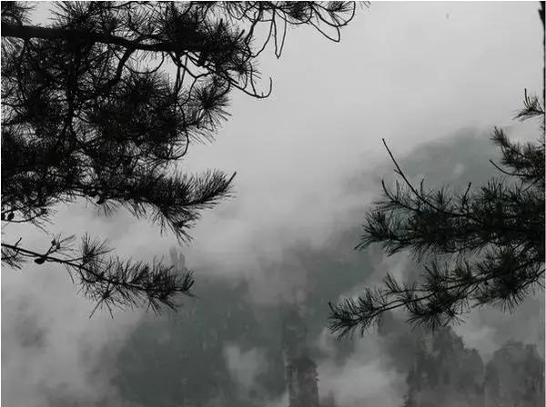 在张家界旅游下雨了怎么办，看得到风景吗