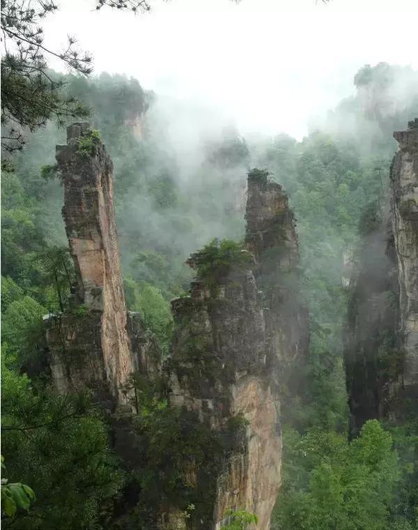 在张家界旅游下雨了怎么办，看得到风景吗