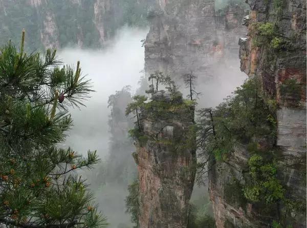 在张家界旅游下雨了怎么办，看得到风景吗