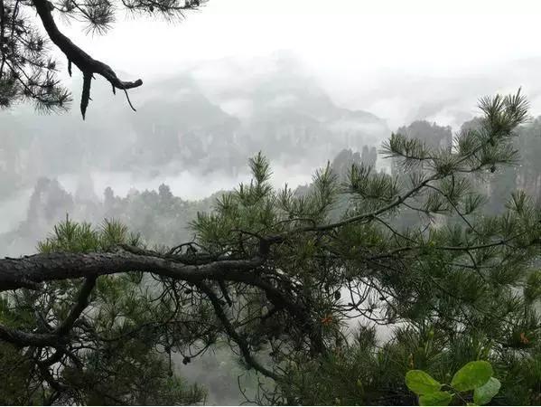 在张家界旅游下雨了怎么办，看得到风景吗