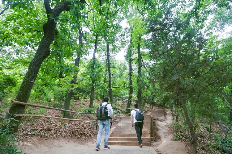 古楼观景区楼观台森林公园强强联手创今夏最超值35元旅游门票 上游新闻 汇聚向上的力量