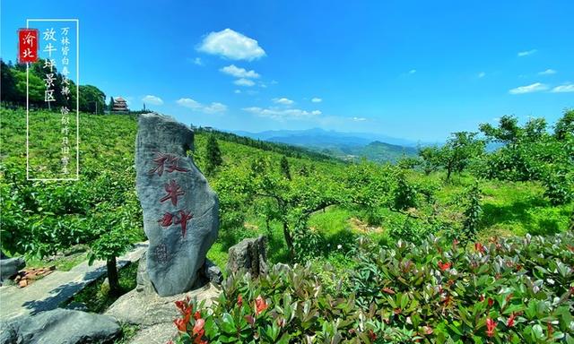 无门票建议游玩时间:2小时左右(可选择农家乐过夜)地址:重庆市渝北区