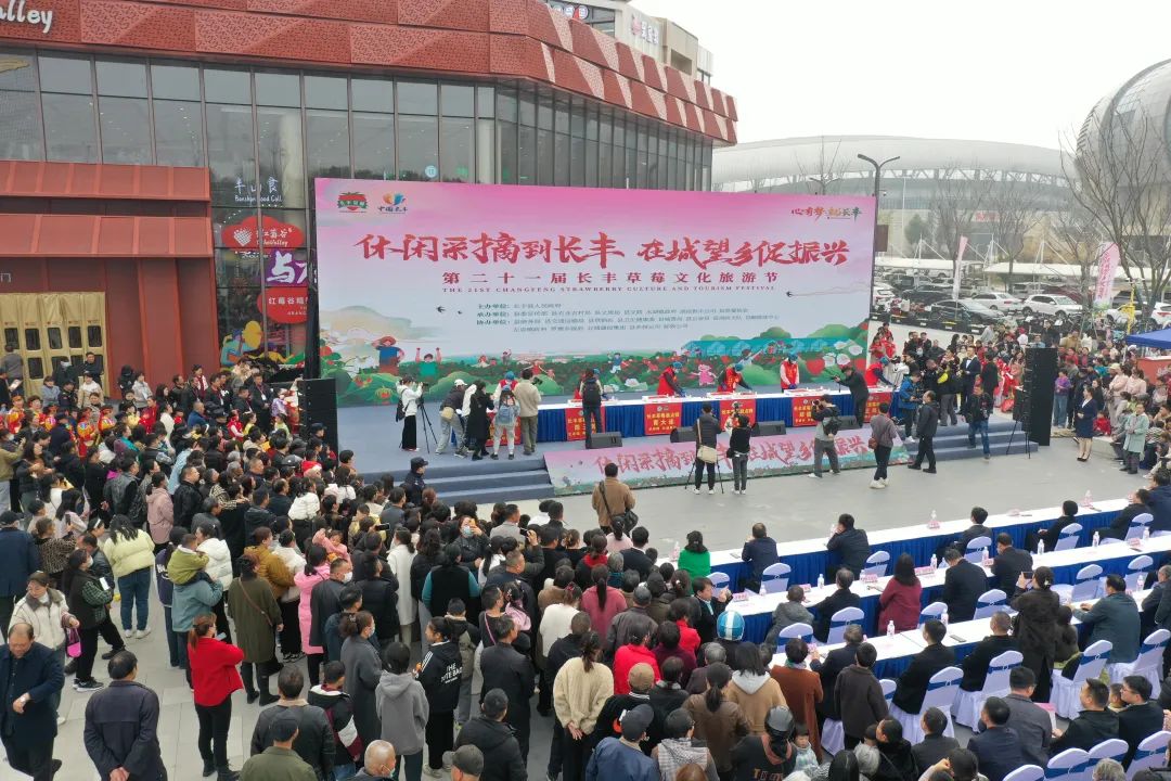 安徽合肥:第二十一届长丰草莓文化旅游节开幕