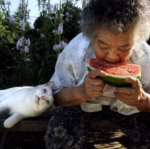 世上最温情的偷拍,90岁老人与耳聋猫咪相守11年,我的心被治愈了100遍