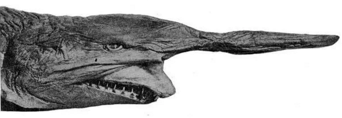 QQ Pictures 20171013100609.png