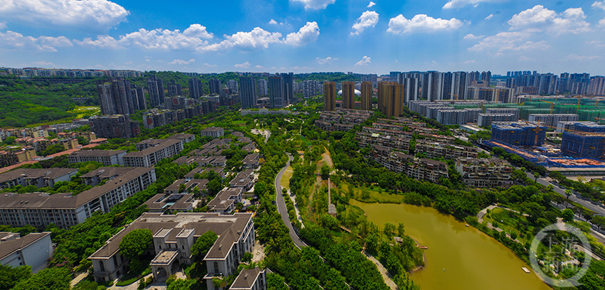 《海綿城市生態重慶》組照三 王聰 攝於渝北區仙桃街道龍湖公園時光