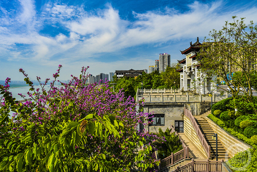 大渡口白居寺公园图片