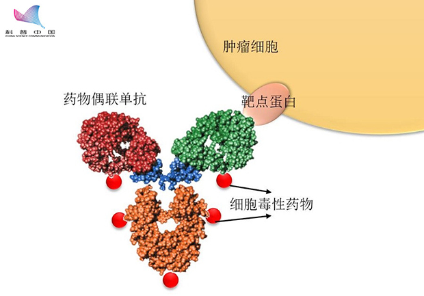 格列卫的研发历程图图片