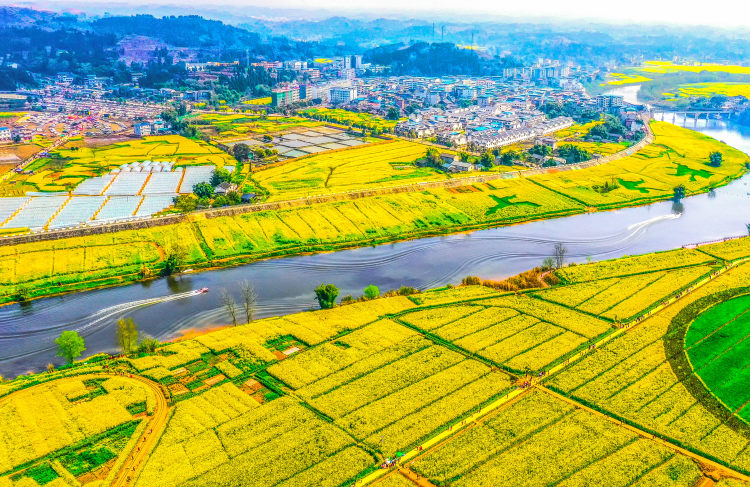 潼南油菜花高清图片图片