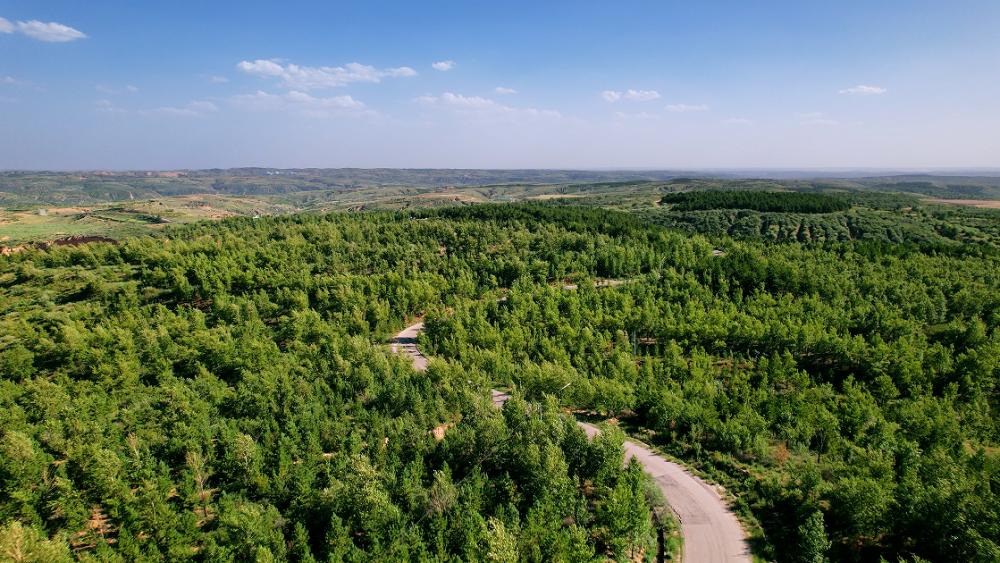 陕西府谷县:筑牢黄河绿色廊道 稳生态 惠民生-上游新闻 汇聚向上的力