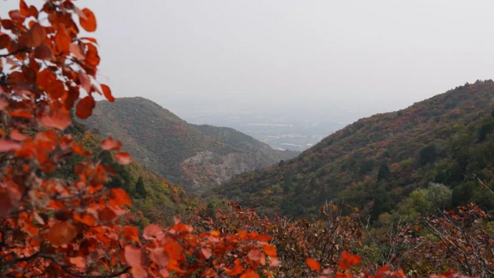 古晋阳八景之一太原龙山红叶秋意醉美