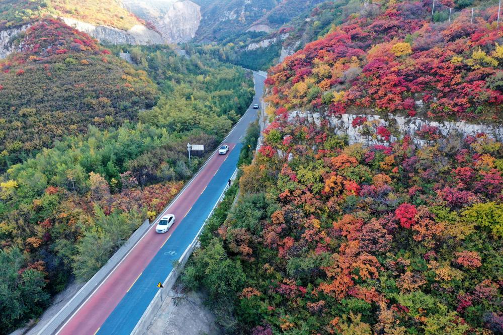 10月15日,自驾游的车辆行驶在多彩秋色掩映的太原西山旅游公路上
