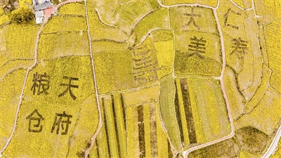 天府旅游名县命名县请你去仁寿油菜花地追春天