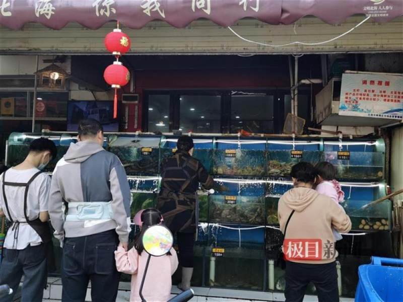 北海2021娱乐场所新闻_北海新闻报道_北海夜场新闻资讯