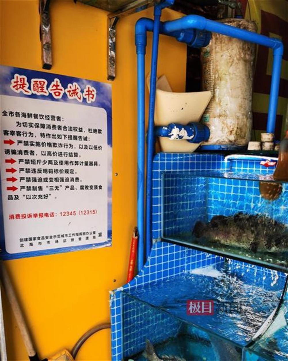 北海新闻报道_北海夜场新闻资讯_北海2021娱乐场所新闻