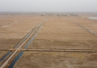 陕西一6000余亩耕地撂荒7年：浇灌设备存争议，部分工程存在设计缺陷