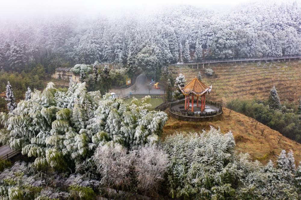 麻辣烫丨寒潮来袭后放牛坪的冰雪世界不容错过