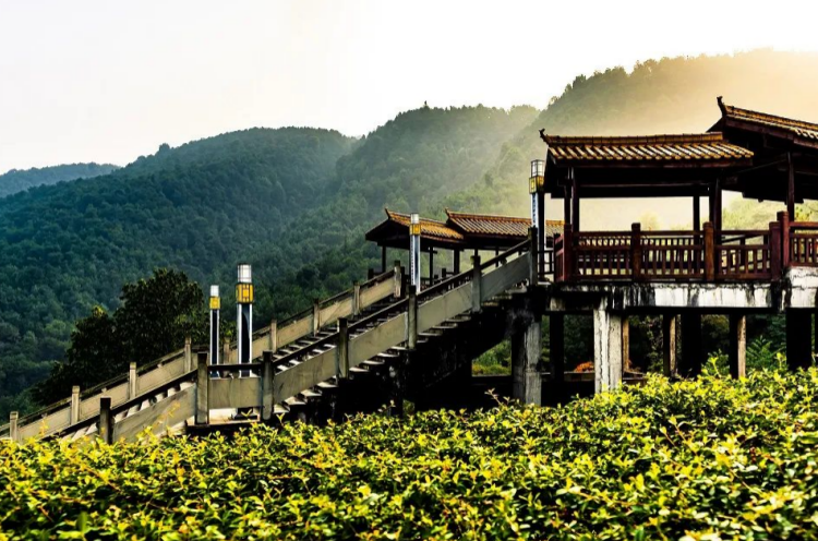 江北 鐵山坪森林公園玉峰山森林公園屬於