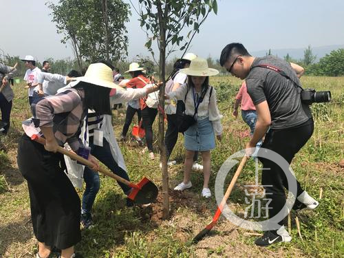 5月13日，共舞长江经济带网络媒体行的记者和志愿者在广阳岛长江边植树。2.png
