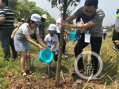 5月13日，共舞长江经济带网络媒体行的记者和志愿者在广阳岛长江边植树。.png