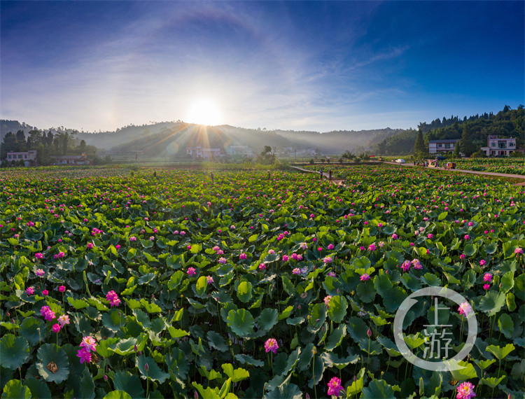 GetAttachment (4)_副本.jpg