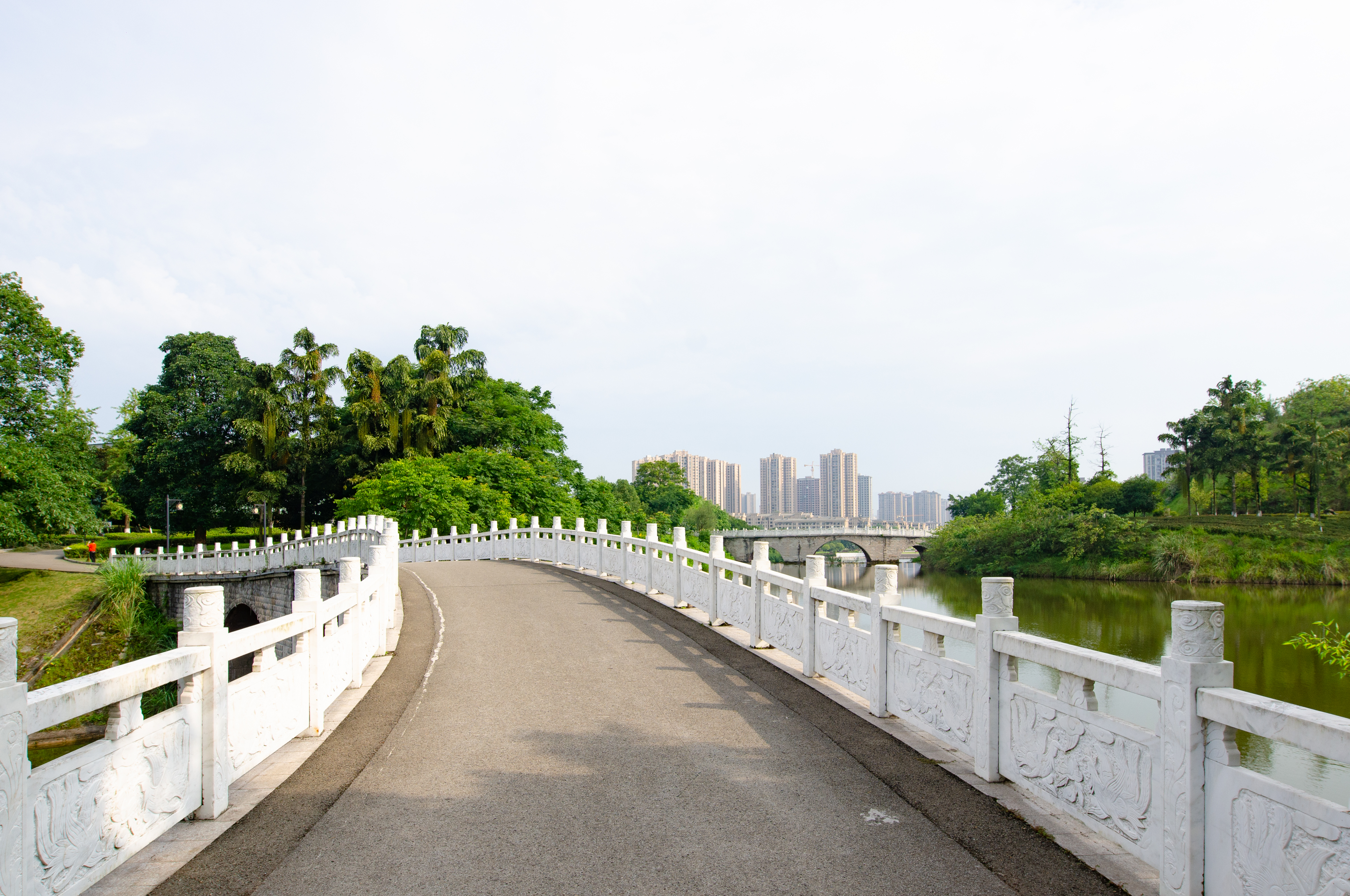 永川凤凰湖公园的盛夏景致