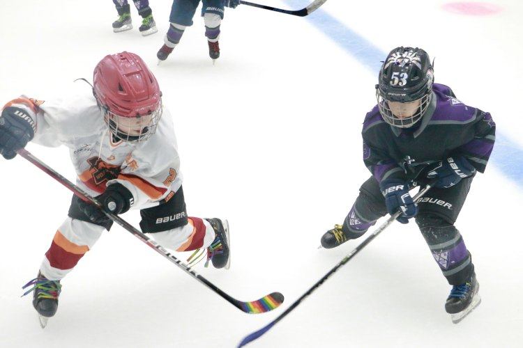 川渝冰球少年冰上争锋