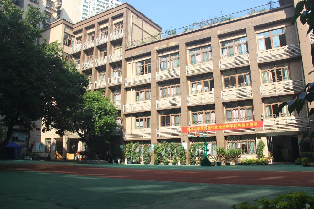 渝中区枣子岚垭小学图片