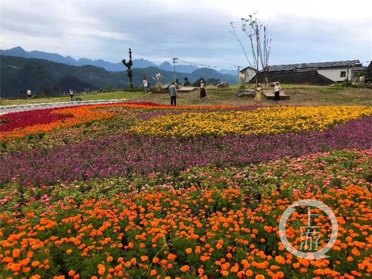 5e2370feda7cecf98df3fb335041806b.jpg 12.jpg