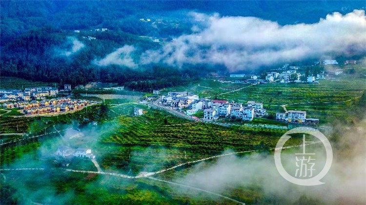 ff039f2e7becbc8b9856ea1244e41c8c.jpg 11.jpg