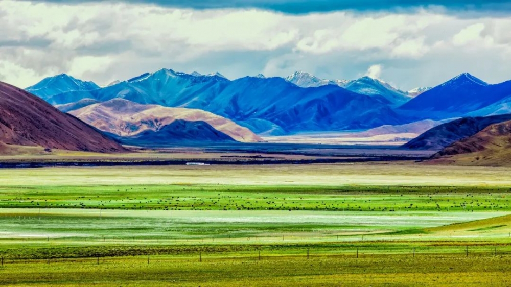 美玉草原风景区图片