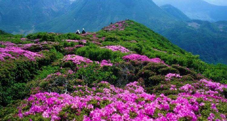 攻略-上游新闻 汇聚向上的力量