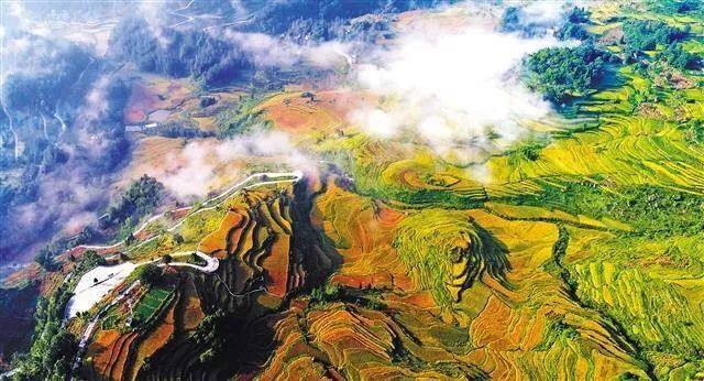 攻略-上游新闻 汇聚向上的力量