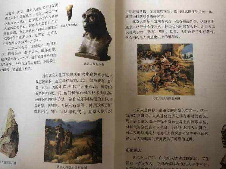 周口店的北京猿人 是我们的祖先吗 上游新闻 汇聚向上的力量