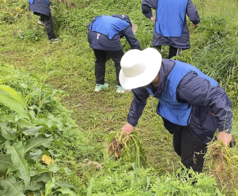 走进田间地头的孩子们奏响桃花源里的劳动之歌