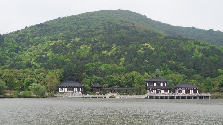 上游 夜雨丨回顾丨老屋边的竹林 何君林 上游新闻 汇聚向上的力量