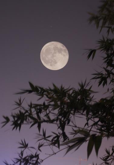 秋天雨夜图片唯美图片