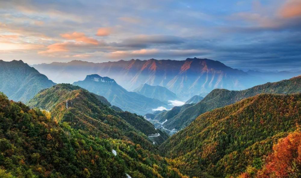 夜雨丨苟永菊大巴山情韵四章