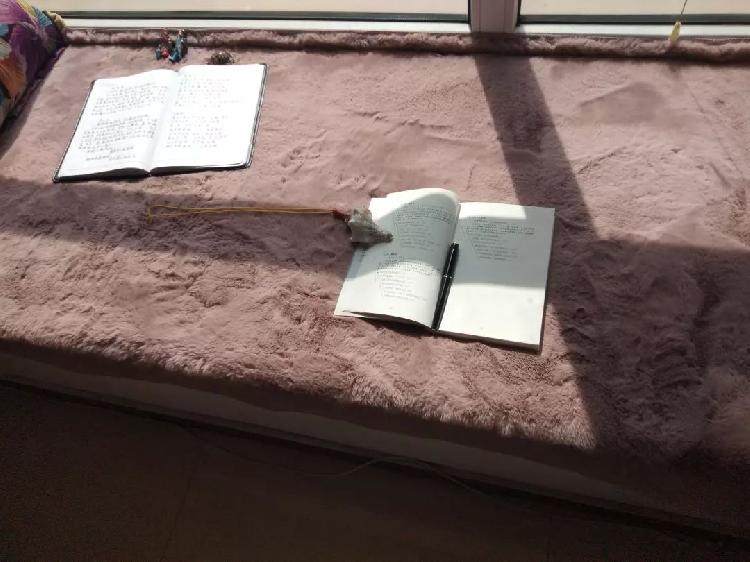 上游 文荟丨你若读书 风雅自来 上游新闻 汇聚向上的力量