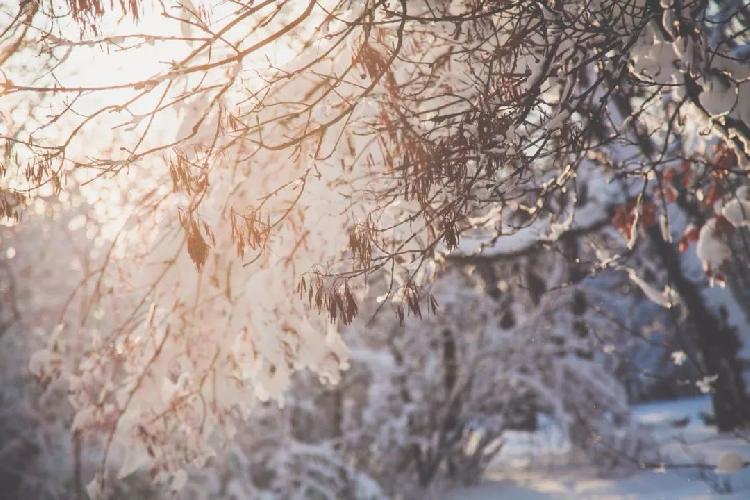 上游 文荟丨早读丨飘雪的冬天 你好 上游新闻 汇聚向上的力量