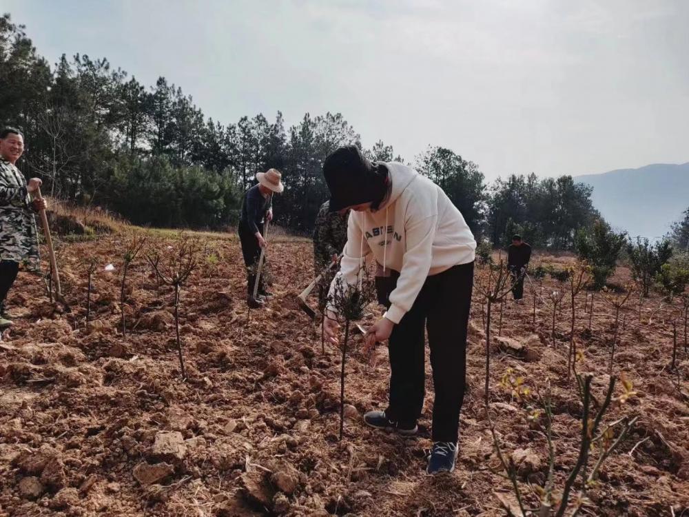 晓华激励90后女工程师，匠心精神成学习榜样,长安汽车,晓华理发,工程师互动,匠心精神,理发与技术交流,女性工程师故事,第1张