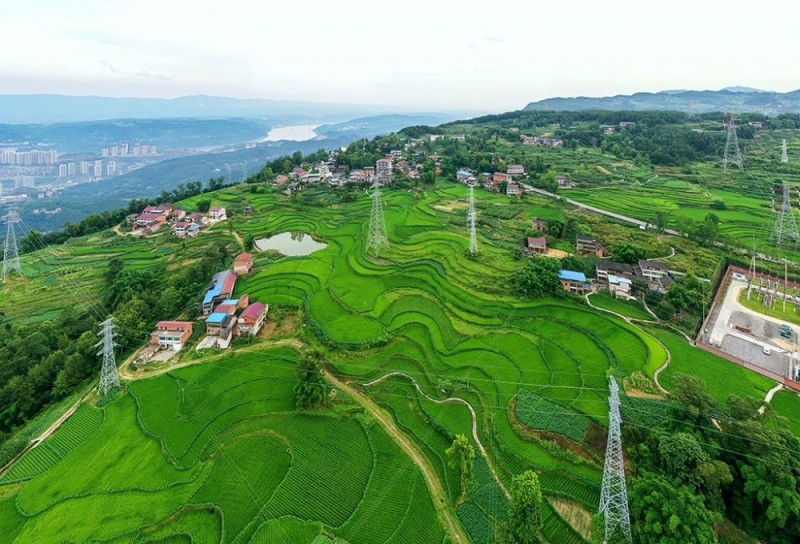 忠州大地:绿野平畴美如画卷 - 上游新闻·汇聚向上的力量