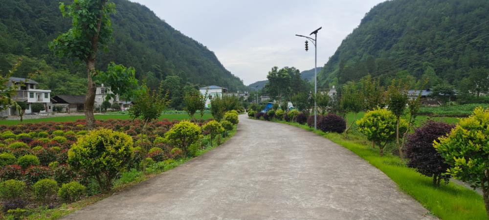 圖為:龍潭鎮渤海村初冬景美如畫