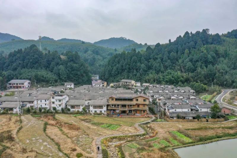 PG电子APP下载 - 官方正版，安全无忧2024年重庆市梁平县梁平县竹山镇招聘社区工作者考前自测高频考点模拟试题（共500题）含答案