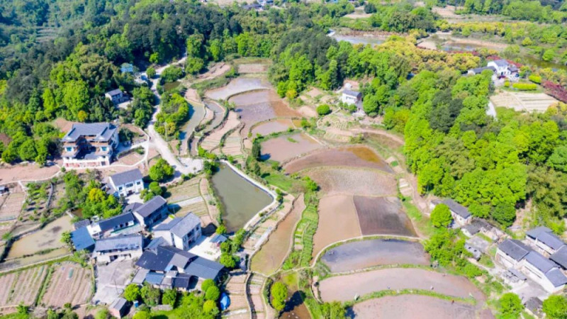 振兴巴南区木洞镇海眼村活用加减乘除法巧解乡村振兴方程式