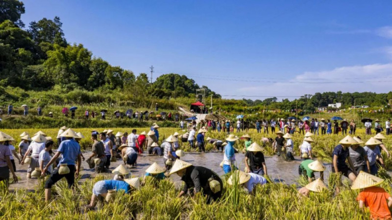 振兴巴南区木洞镇海眼村活用加减乘除法巧解乡村振兴方程式