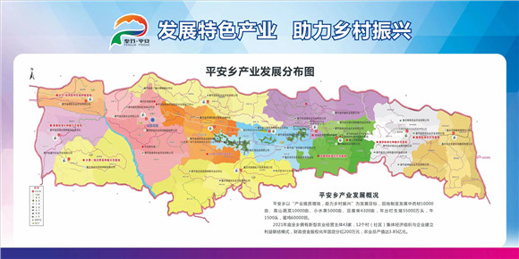 奉节县平安乡做精特色产业跑出乡村振兴加速度
