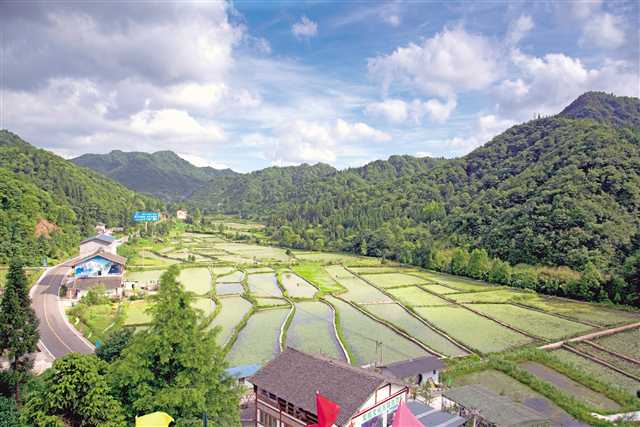 石柱冷水鎮蓴菜基地▲辣椒精加工生產線▲蓴菜深加工生產線黃連