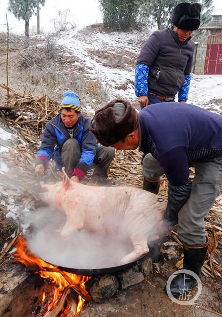村民们用热水烫年猪.