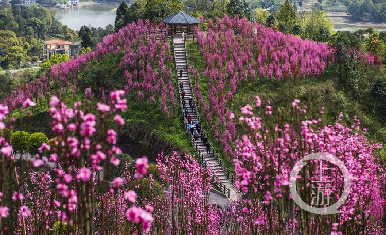 刘家胜《花开时节动渝州》.jpg